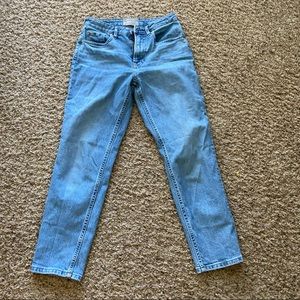 Everlane Original cheeky jean